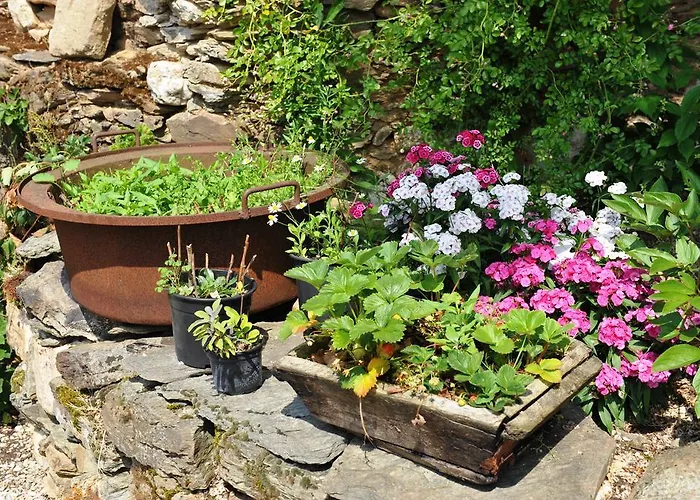 D'hotes Le Puits D'amour Bed and Breakfast Mirandol-Bourgnounac