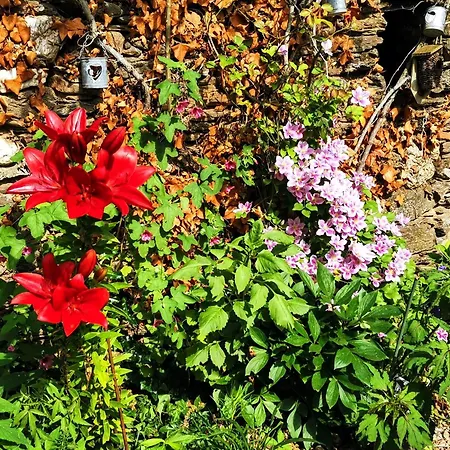 Bed and Breakfast D'hotes Le Puits D'amour