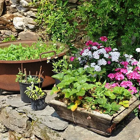 D'hotes Le Puits D'amour Bed and Breakfast Mirandol-Bourgnounac